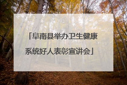 阜南县举办卫生健康系统好人表彰宣讲会