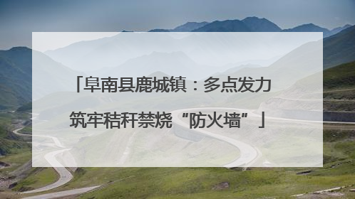 阜南县鹿城镇：多点发力 筑牢秸秆禁烧“防火墙”