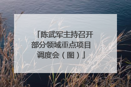 陈武军主持召开部分领域重点项目调度会（图）