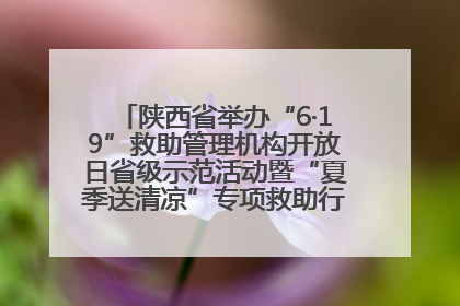 陕西省举办“6·19”救助管理机构开放日省级示范活动暨“夏季送清凉”专项救助行动启动仪式——织密救助网络，筑牢安全底线，彰显民生温度