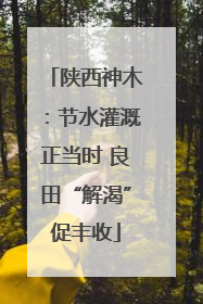陕西神木：节水灌溉正当时 良田“解渴”促丰收