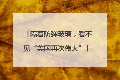 隔着防弹玻璃，看不见“美国再次伟大”