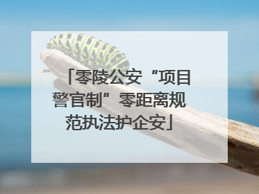 零陵公安“项目警官制”零距离规范执法护企安