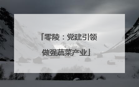 零陵：党建引领 做强蔬菜产业