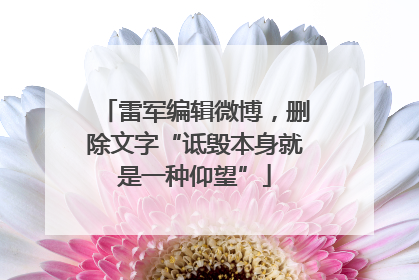 雷军编辑微博，删除文字“诋毁本身就是一种仰望”