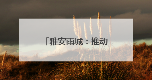 雅安雨城：推动生猪产业实现规模与效益双重跃升