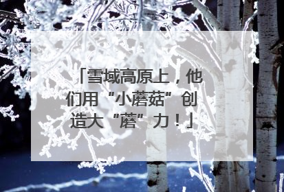 雪域高原上，他们用“小蘑菇”创造大“蘑”力！