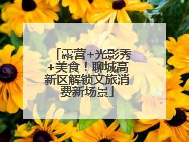 露营+光影秀+美食！聊城高新区解锁文旅消费新场景
