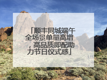 顺丰同城端午全场景单量高增，高品质即配助力节日仪式感