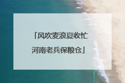 风吹麦浪夏收忙 河南老兵保粮仓
