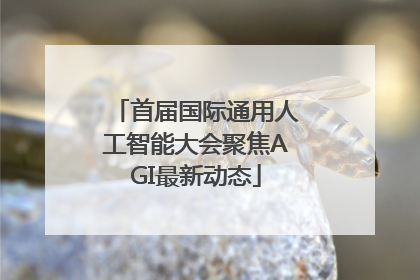 首届国际通用人工智能大会聚焦AGI最新动态