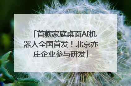 首款家庭桌面AI机器人全国首发！北京亦庄企业参与研发