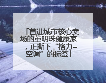 首进城市核心卖场的董明珠健康家，正撕下“格力=空调”的标签