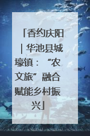 香约庆阳｜华池县城壕镇：“农文旅”融合赋能乡村振兴