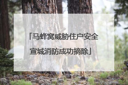 马蜂窝威胁住户安全 宣城消防成功摘除