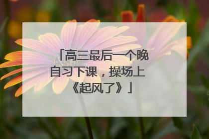 高三最后一个晚自习下课，操场上《起风了》