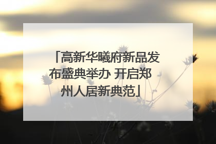 高新华曦府新品发布盛典举办 开启郑州人居新典范