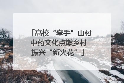高校“牵手”山村 中药文化点燃乡村振兴“新火花”