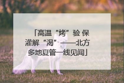 高温“烤”验 保灌解“渴”——北方多地夏管一线见闻
