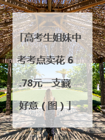 高考生姐妹中考考点卖花 6.78元一支藏好意（图）