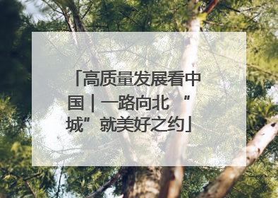 高质量发展看中国｜一路向北 “城”就美好之约