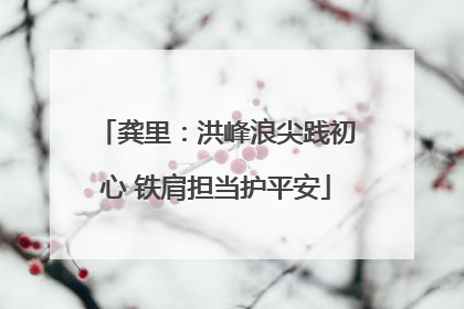 龚里：洪峰浪尖践初心 铁肩担当护平安