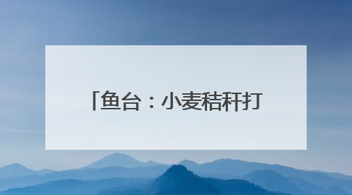 鱼台：小麦秸秆打捆离田综合利用