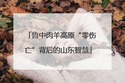 鲁中肉羊高原“零伤亡”背后的山东智慧