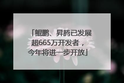 鲲鹏、昇腾已发展超665万开发者，今年将进一步开放