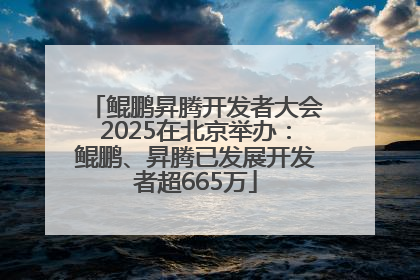 鲲鹏昇腾开发者大会2025在北京举办：鲲鹏、昇腾已发展开发者超665万