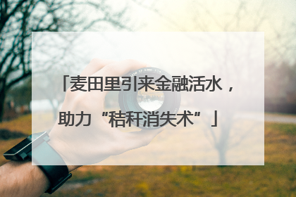 麦田里引来金融活水，助力“秸秆消失术”