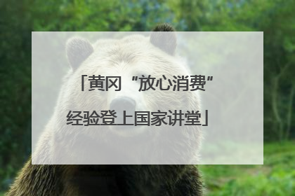 黄冈“放心消费”经验登上国家讲堂