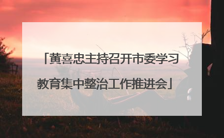 黄喜忠主持召开市委学习教育集中整治工作推进会