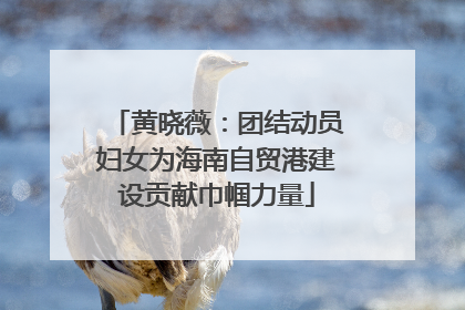 黄晓薇：团结动员妇女为海南自贸港建设贡献巾帼力量