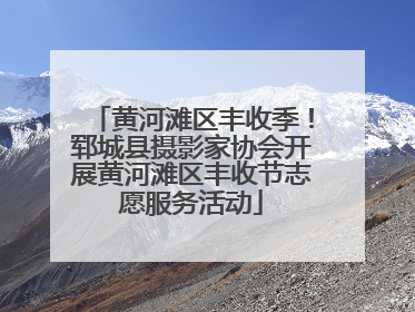 黄河滩区丰收季！郓城县摄影家协会开展黄河滩区丰收节志愿服务活动