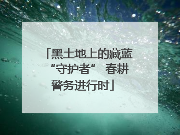 黑土地上的藏蓝“守护者” 春耕警务进行时