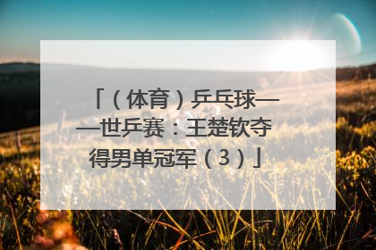 （体育）乒乓球——世乒赛：王楚钦夺得男单冠军（3）