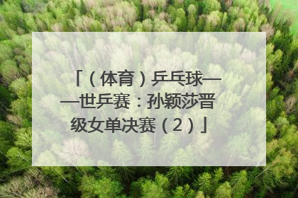 （体育）乒乓球——世乒赛：孙颖莎晋级女单决赛（2）