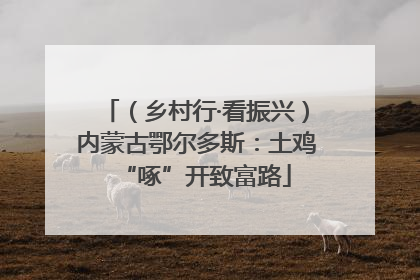 （乡村行·看振兴）内蒙古鄂尔多斯：土鸡“啄”开致富路