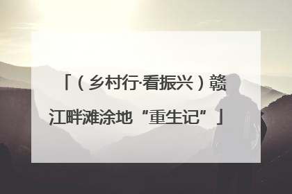 （乡村行·看振兴）赣江畔滩涂地“重生记”