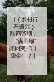 （乡村行·看振兴）陕西留坝：“满山绿”如何变“口袋金”？