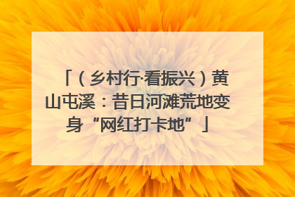 （乡村行·看振兴）黄山屯溪：昔日河滩荒地变身“网红打卡地”
