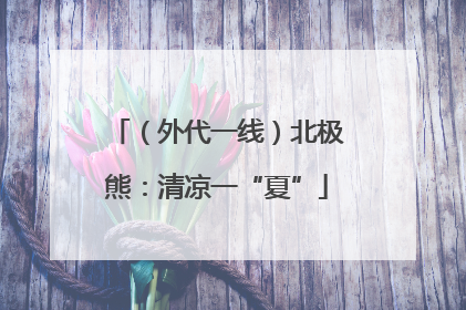 （外代一线）北极熊：清凉一“夏”