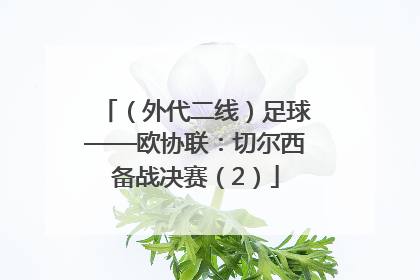 （外代二线）足球——欧协联：切尔西备战决赛（2）
