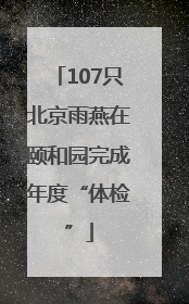 107只北京雨燕在颐和园完成年度“体检”