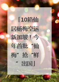 10箱仙居杨梅空运新加坡！今年首批“仙梅”抢“鲜”出国