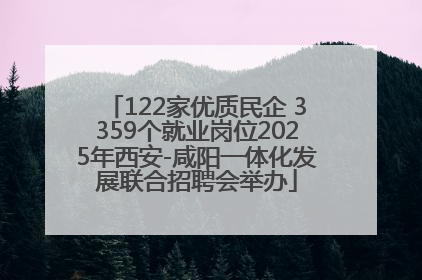122家优质民企 3359个就业岗位2025年西安-咸阳一体化发展联合招聘会举办