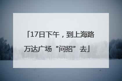 17日下午，到上海路万达广场“问招”去