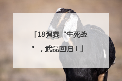 18强赛“生死战”，武磊回归！