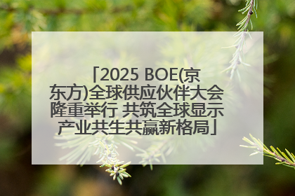 2025 BOE(京东方)全球供应伙伴大会隆重举行 共筑全球显示产业共生共赢新格局